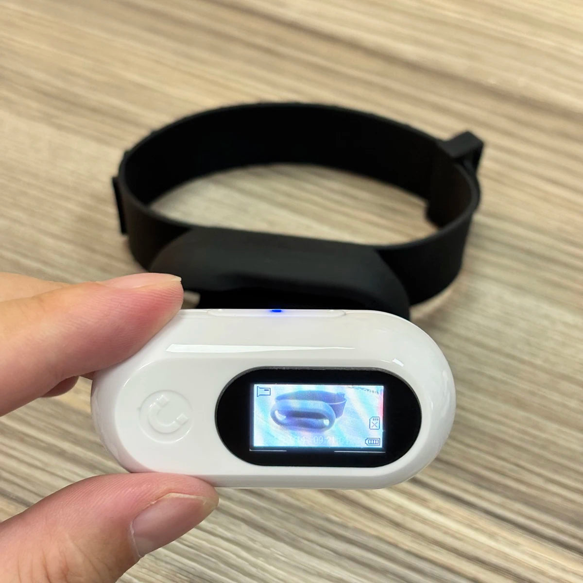 Glossy Painting Cat Camera Dog Collar 1080P Clip Video Camera With Screen Chest Body Camera