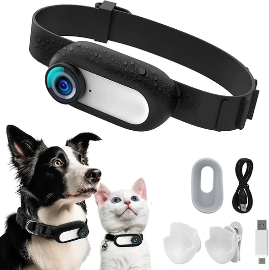 Glossy Painting Cat Camera Dog Collar 1080P Clip Video Camera With Screen Chest Body Camera